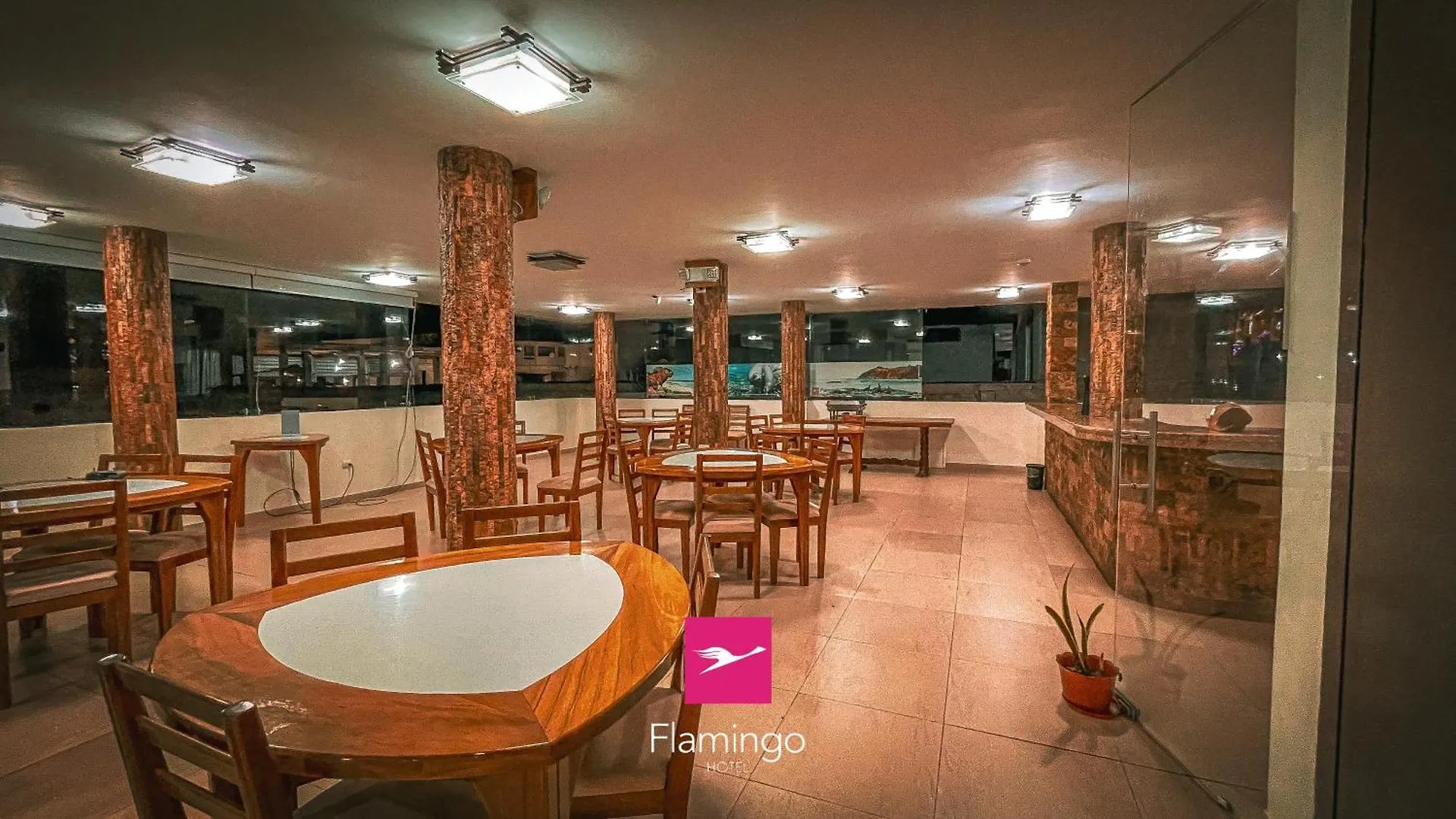Hotel Flamingo Puerto Ayora  Puerto Ayora (Galapagos Islands)